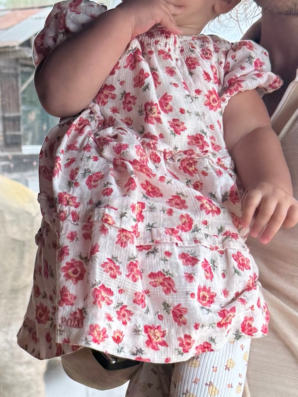 Polo Ralph Lauren Floral Cotton Dobby Dress & Bloomer 12M